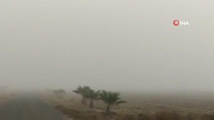 Şanlıurfa'da sis nedeniyle görüş mesafesi düştü