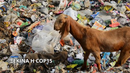 COP15: Στόχος το «30 μέχρι το 30»