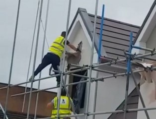 Furieux, il démolit les travaux qu'il a fait parce que son client ne veut pas le payer