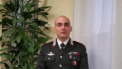 Bolgheri (Livorno), minaccia-choc a grande azienda vinicola: "Pagate 150mila euro in bitcoin o bruciamo i vigneti"