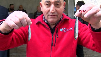 Hamsi tehlikede : Uzmanlardan 'hamsi avı yasaklansın' çağrısı