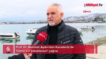 Karadeniz'de 'hamsi avı yasaklansın' çağrısı