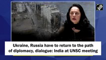Ukraine, Russia have to return to path of diplomacy, dialogue: India at UNSC meeting