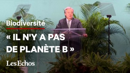 Download Video: « L'humanité est devenue une arme d'extinction massive », déclare Antonio Guterres (ONU) à la COP15