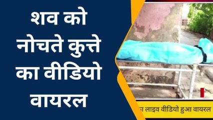 एक्सीडेंट के बाद शव को नोचते रहे कुत्ते, बेशर्म बनाता रहा वीडियो