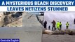 US: Strange 80-ft object appears on famous beach, netizens left stunned |Oneindia News*International