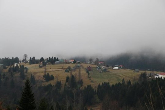 Trabzon'un Hıdırnebi Yaylası sis altındaki güzelliğiyle ziyaretçilerini karşılıyor