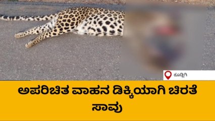 ಕೂಡ್ಲಿಗಿ‌ : ಶಿವಪುರ ಬಳಿ ಅಪರಿಚಿತ ವಾಹನ ಡಿಕ್ಕಿ- ಚಿರತೆ ಸಾವು