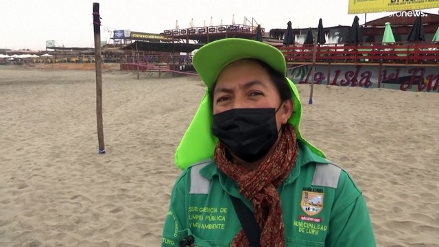 Perú | Decenas de miles de aves marinas han muerto por la gripe aviar