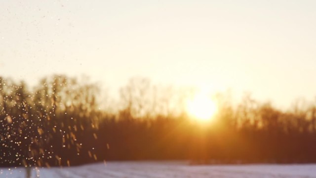 Wird der Winter besonders warm oder viel zu kalt?