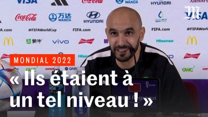 Maroc au Mondial 2022 : "Ce qu'ils ont fait est extraordinaire", confie le sélectionneur marocain
