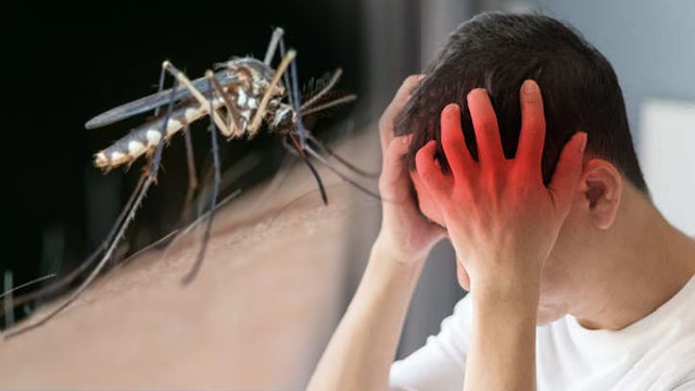 Japanese Encephalitis Virus क्या है | जापानी इंसेफेलाइटिस वायरस के कारण और लक्षण | Boldsky *health