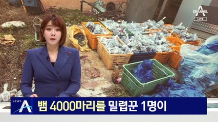 뱀 4000마리를 밀렵꾼 1명이…오소리·고라니도 냉동 보관