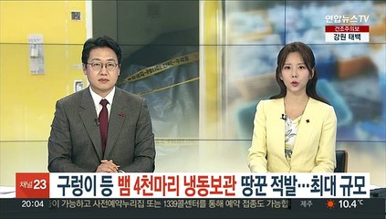 구렁이 등 뱀 4천마리 냉동보관 땅꾼 적발…최대 규모
