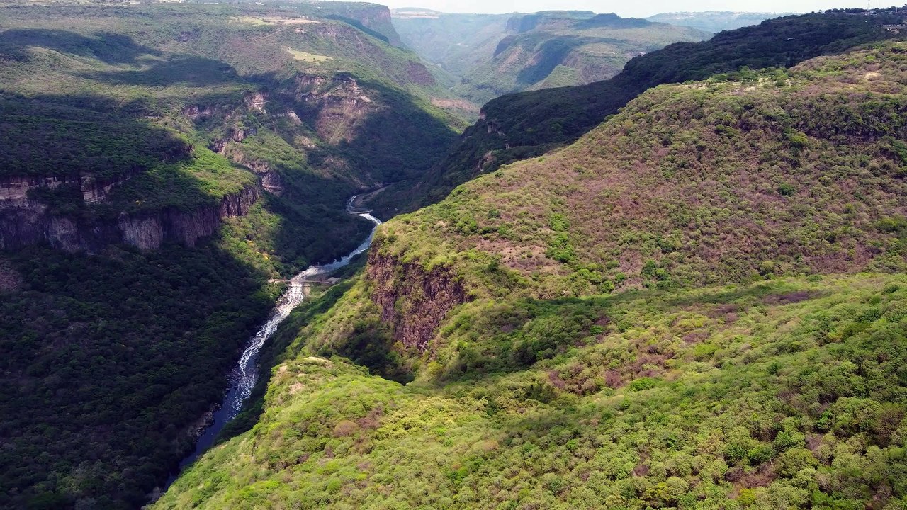 the view of the big and beautiful canyon covered with greenery