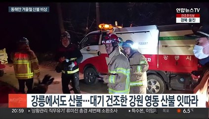 겨울 가뭄에 바싹 마른 동해안…산불 위험 최고조