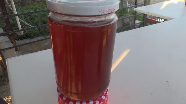 Bal üreticisi gerçek balın püf noktalarını anlattı: İnsanlar sahte bala alışmış, gerçek balın tadını unutmuş