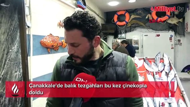 Çanakkale'de balık tezgahları bu kez çinekopla doldu
