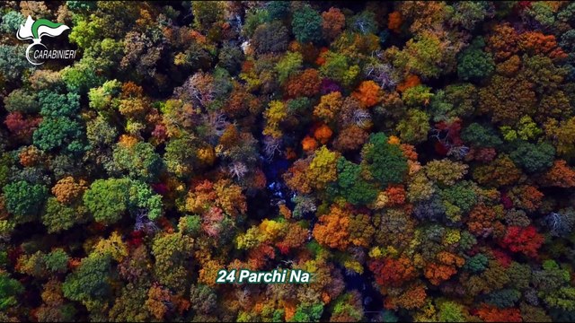 Dodici specie in via d'estinzione e la aree protette per tutelarle