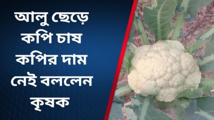 হুগলি: খরচ করেও দাম নেই, মাথায় হাত চাষীদের