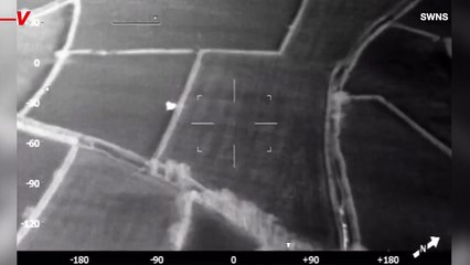 This Police Force Was Assisted by Cows