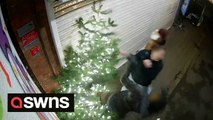 Real-life Grinch gets instant karma after he karate kicks community's Christmas tree and is sent sprawling on the ground