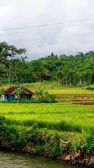 Keindahan Alam Natural