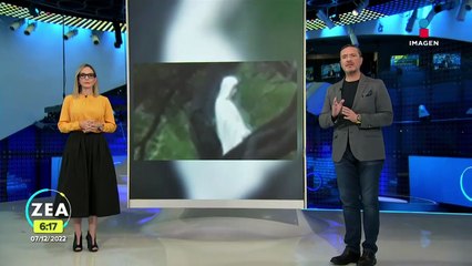 Captan supuesta aparición de la Virgen de Fátima