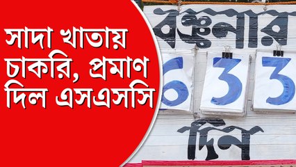 সাদা খাতায় চাকরি পাওয়া অযোগ্যদের নিয়ে এত চর্চা কেন?