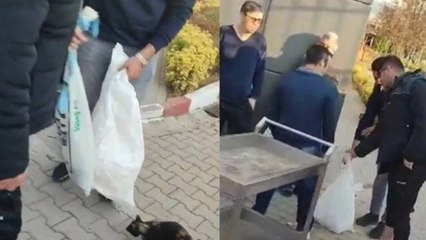 Yurt bahçesindeki kedilerin çuvalla toplanmasına öğrenciler tepki gösterdi