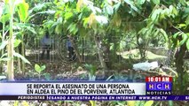 Persiguen y matan a hombre en El Pino, El Porvenir, Atlántida