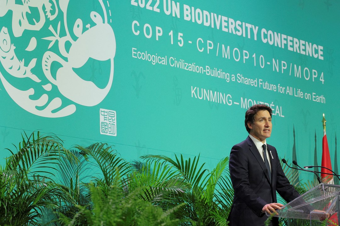 Coup d'envoi de la COP15, le sommet de la décennie pour sauver la nature
