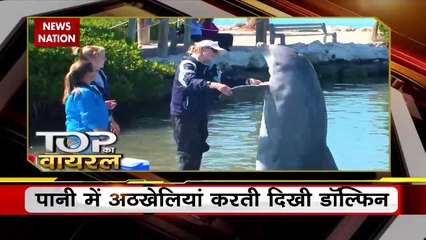 Viral Videos : देखिए सोशल मीडिया पर वायरल वीडियो का Countdown | Top viral video |
