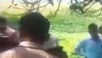 अयोध्या: आम के पेड़ में फांसी के फंदे से लटकता मिला युवती का मिला शव, जांच में जुटी पुलिस