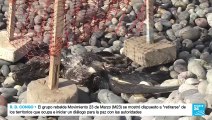 Alerta máxima en Perú por brote de gripe aviar que ya deja más de 13 mil aves muertas