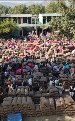 अलवर की मंडी प्याज के कट्टो से भर गयी,देखे वीडियो