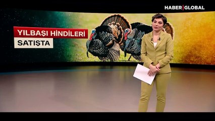 Yılbaşı hindileri satışta