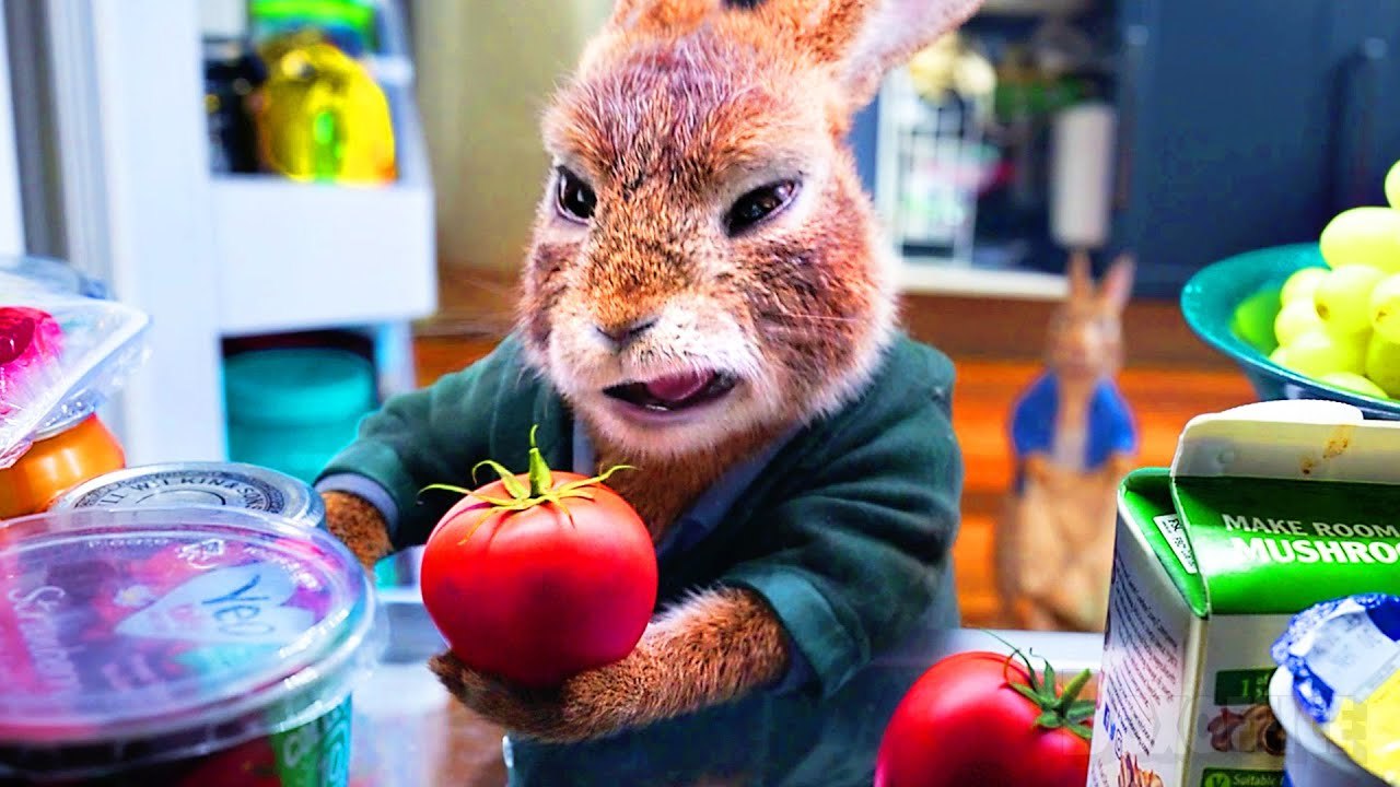 Le vol dans le frigo | Pierre Lapin 2: Panique en ville | Extrait VF