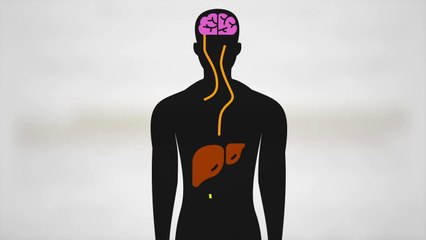 Is Keto an Effective Cancer Fighting Diet_
