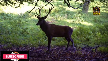 Yamraj aor maot  यमराज और मौत