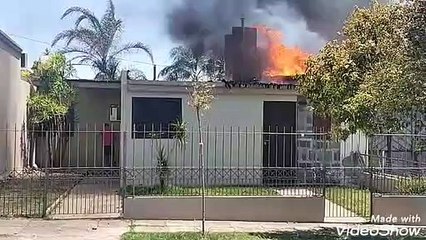 Dramático: salvan un perrito de un voraz incendio