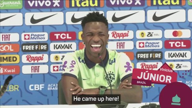 Cat interrupts Vinicius' Brazil press conference