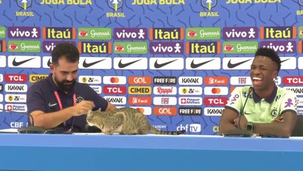 A cat "breaks into" the press conference of the Brazil national team, amid the laughter of Vinicius Junior