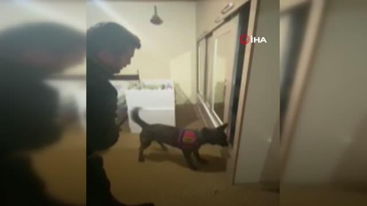 Toprağın altından cephane çıktı
