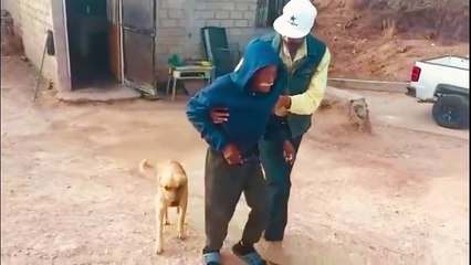 Palomo, el perro que ayudó a encontrar a su dueño de 84 años desaparecido