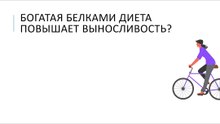 Богатая белками диета повышает выносливость?