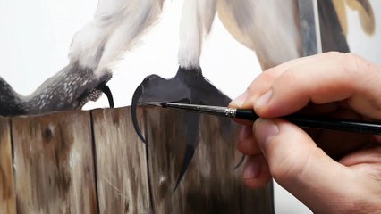 Oil painting of a barn owl.   Portrait of a wild life.