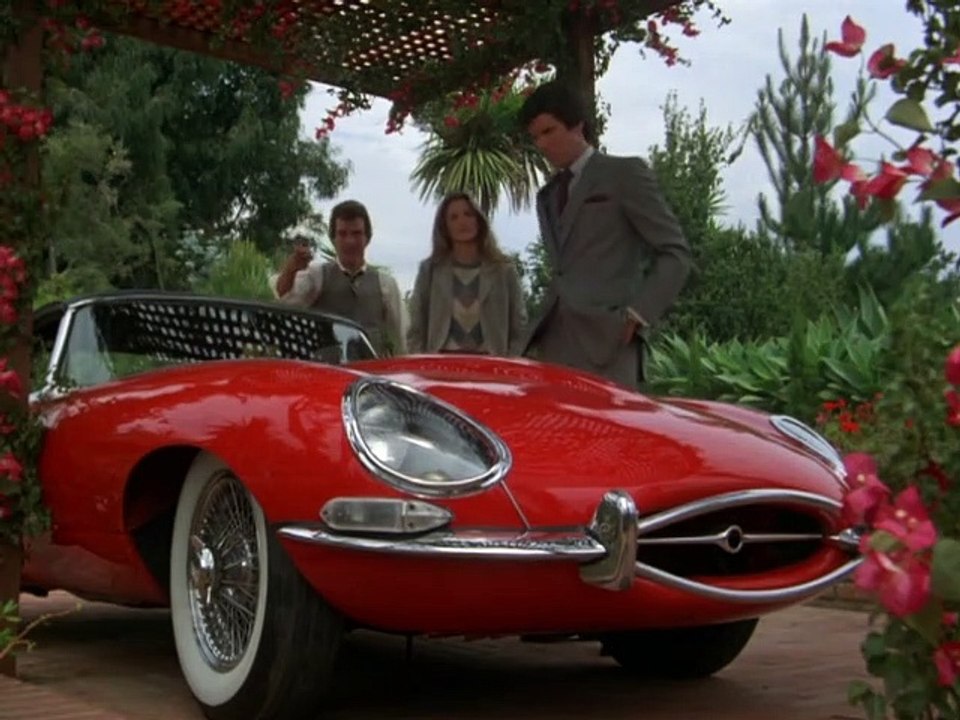 Remington Steele Staffel 1 Folge 14