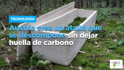 Austria crea un ataúd que se descompone sin dejar huella de carbono