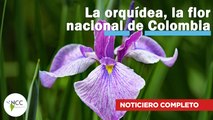 La orquídea, la flor nacional de Colombia | 507 | 12 al 18 diciembre 2022